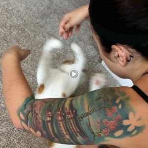 Meet your Posher, Chrissy